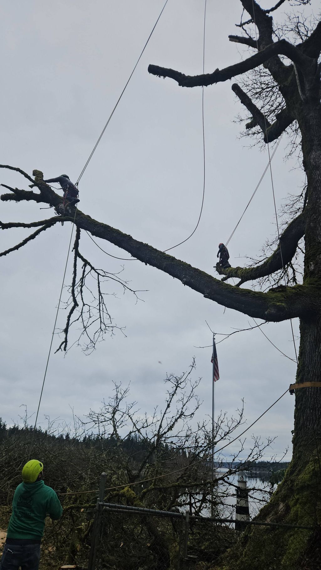 Worker in green shirt clearing a fallen tree branch on a cloudy roadside.