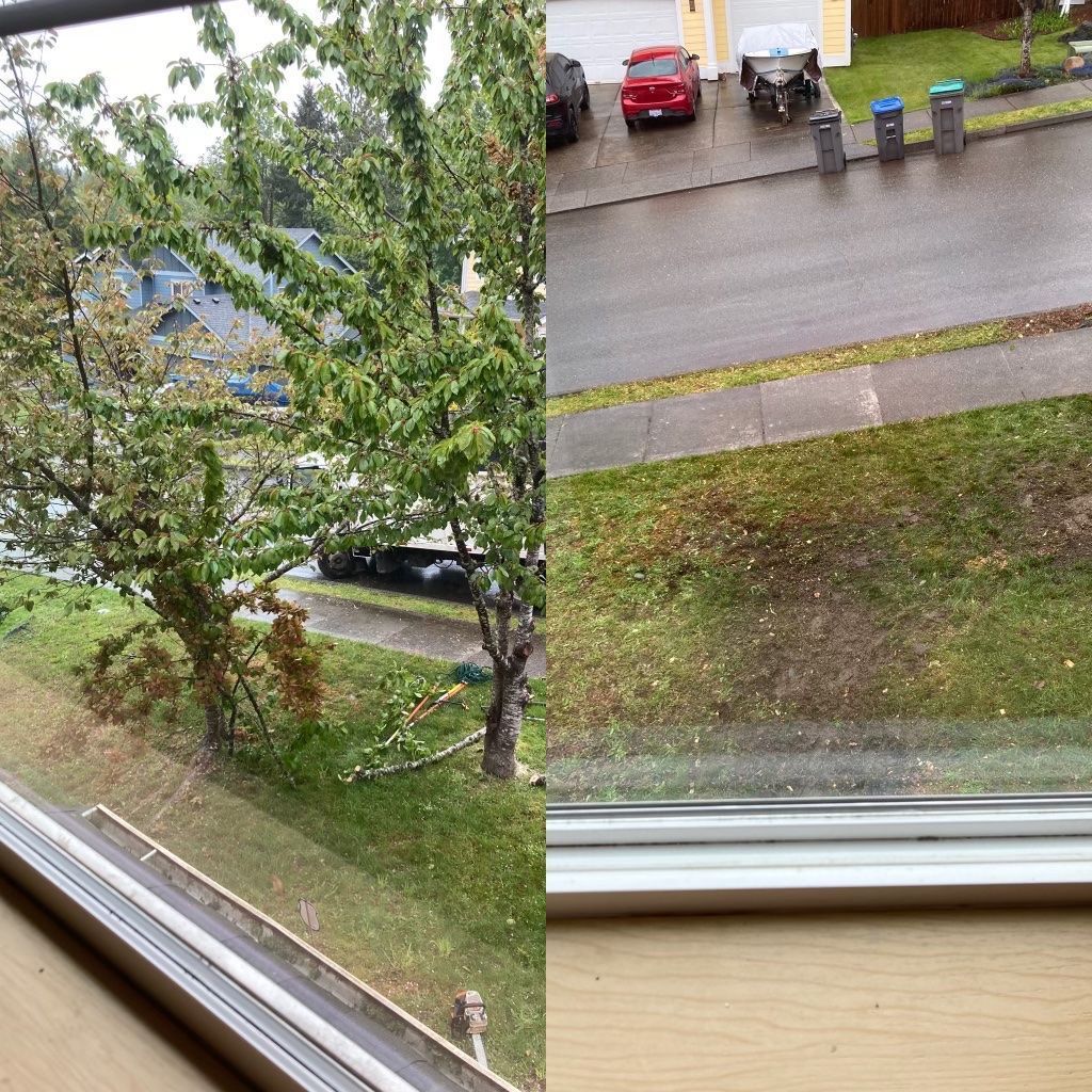Rainy residential street seen through a window, with parked cars and trees.