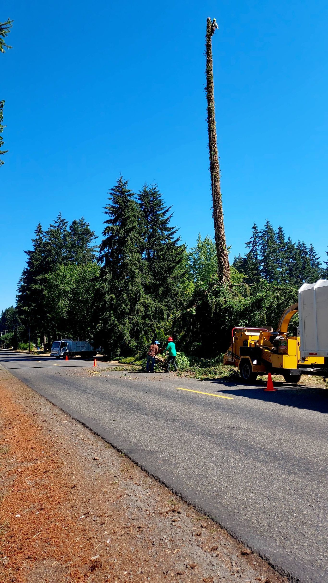 Roadwork scene with a paved path, orange gravel shoulder, tall trees, and construction equipment under a blue sky
