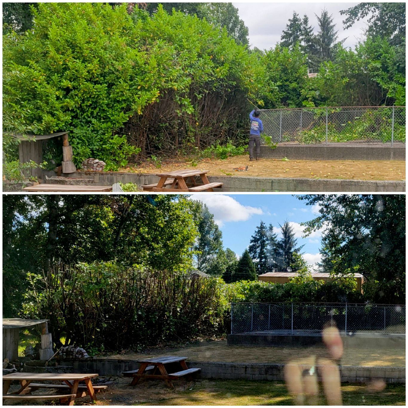 Split-view backyard scene with lush greenery, picnic tables, and a person near a fence in changing weather