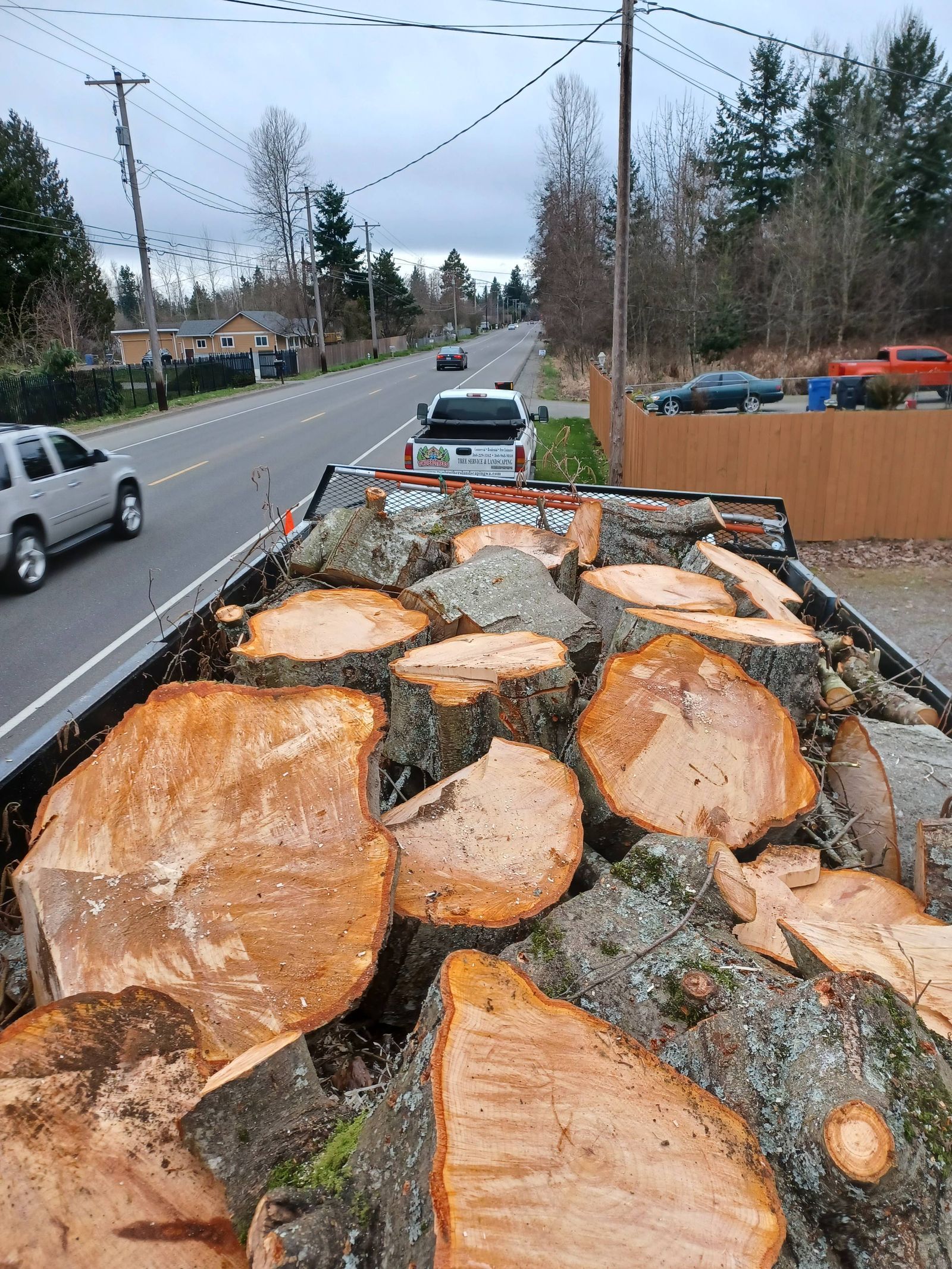 Freshly cut tree trunks loaded on a trailer beside a roadside under an overcast sky
