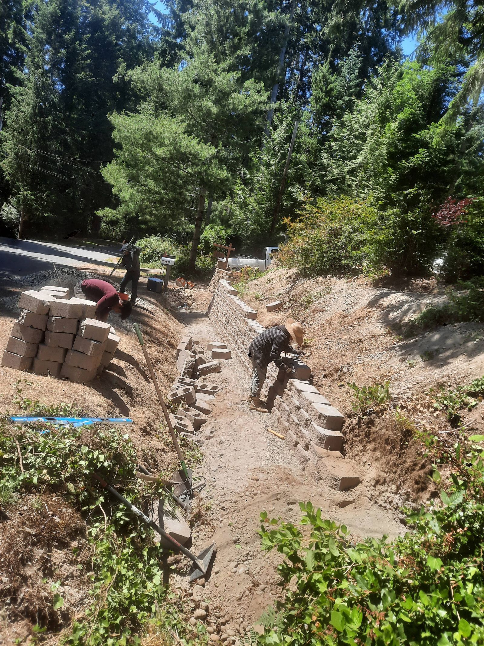 Two workers laying bricks in a muddy trench under tall trees on a sunny day