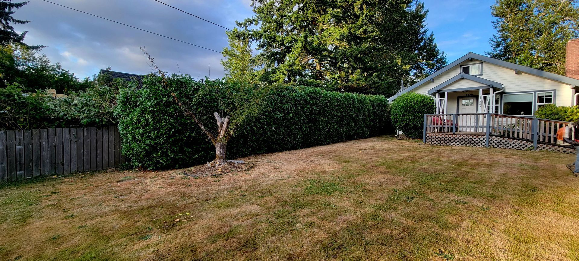 A man is working on a lawn in a backyard.