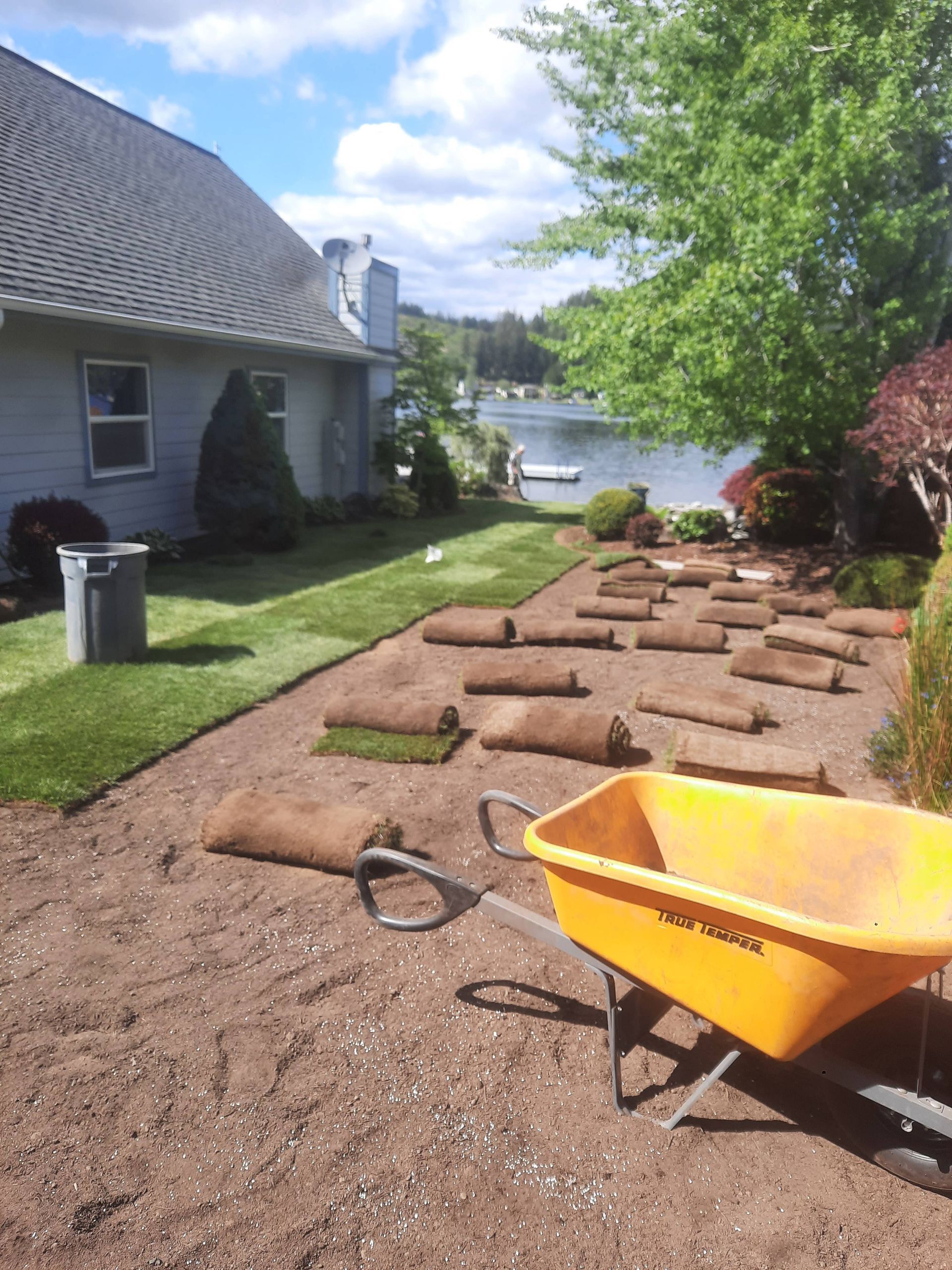 Backyard garden bed with mulch, logs, and a yellow wheelbarrow beside a house and lake.