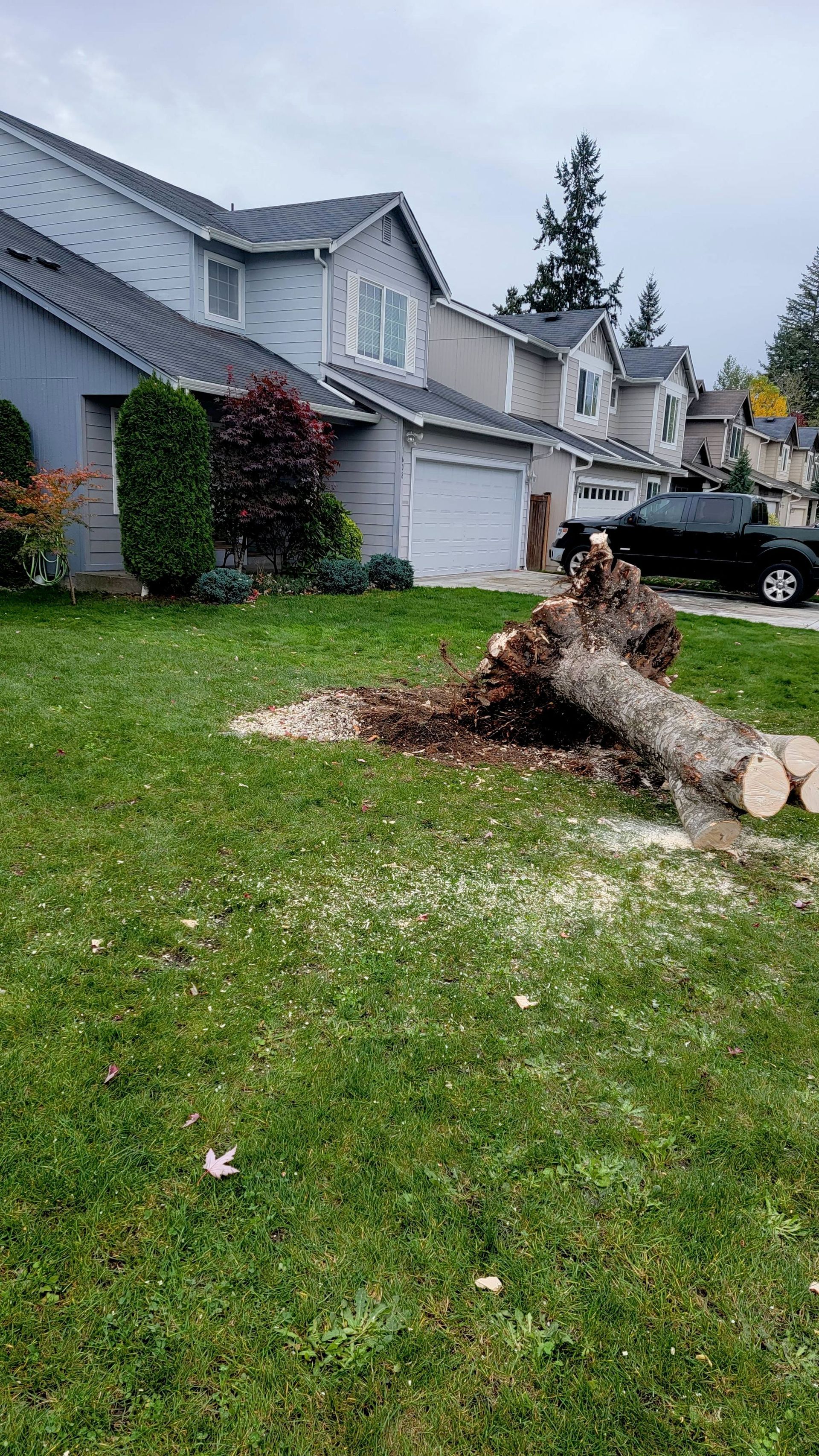 Suburban house with a fallen tree trunk and stump in the front yard on a cloudy day