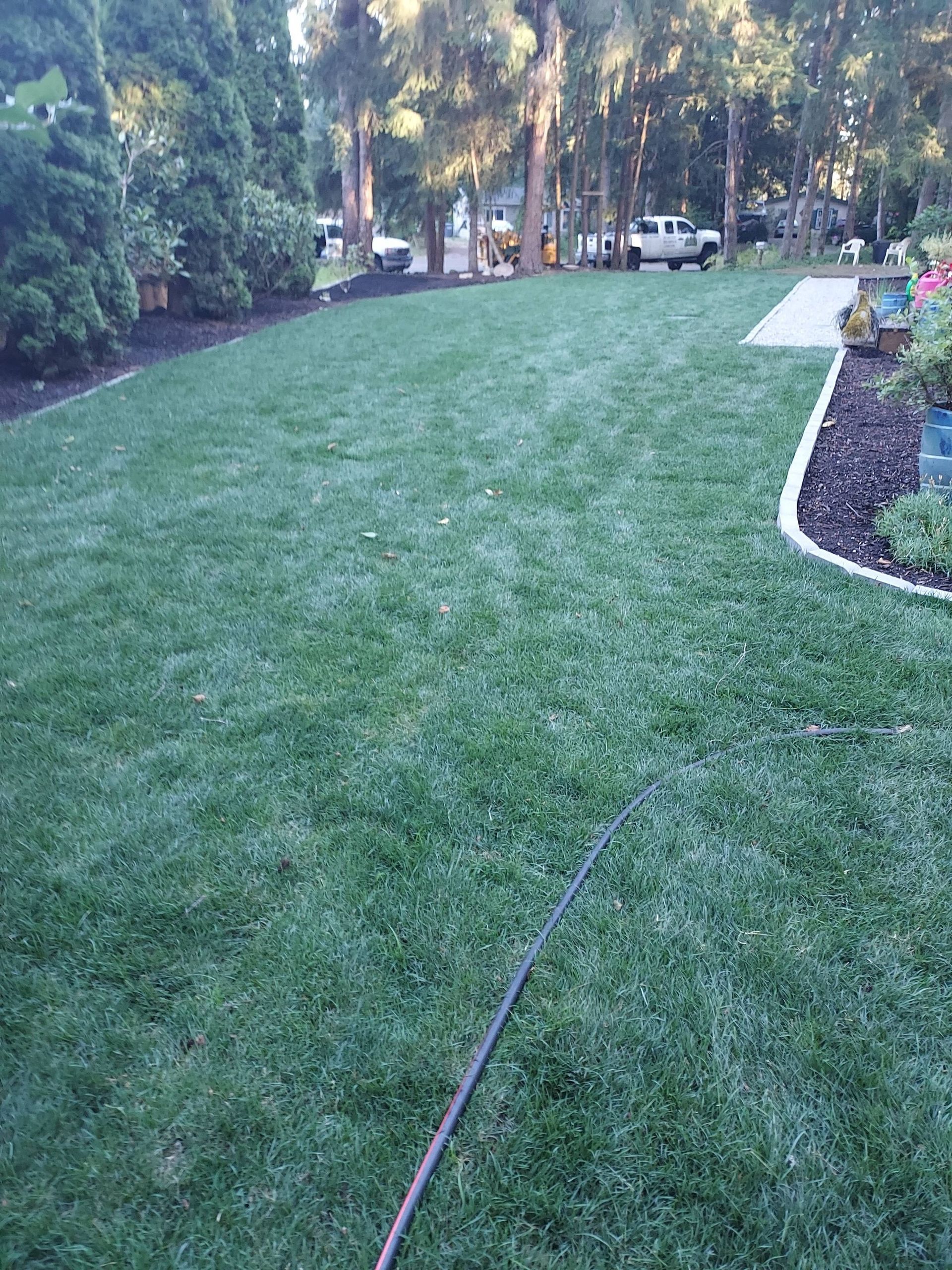 Grassy lawn beside a garden path and shrub border, with trees and parked cars in the background.