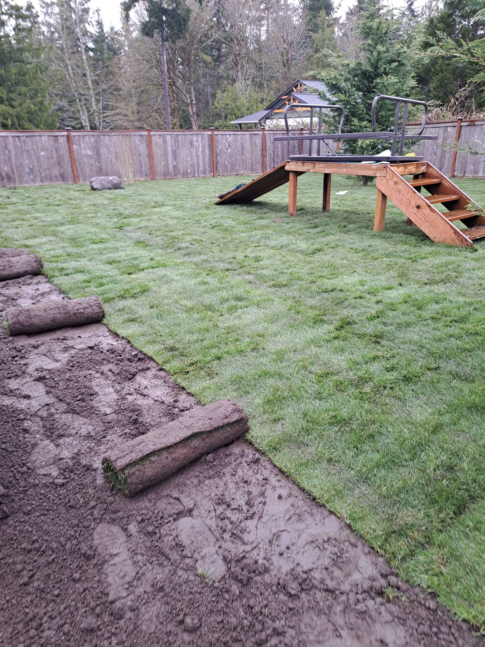 Backyard with muddy path, green grass, wooden play ramp, and fenced trees in the background