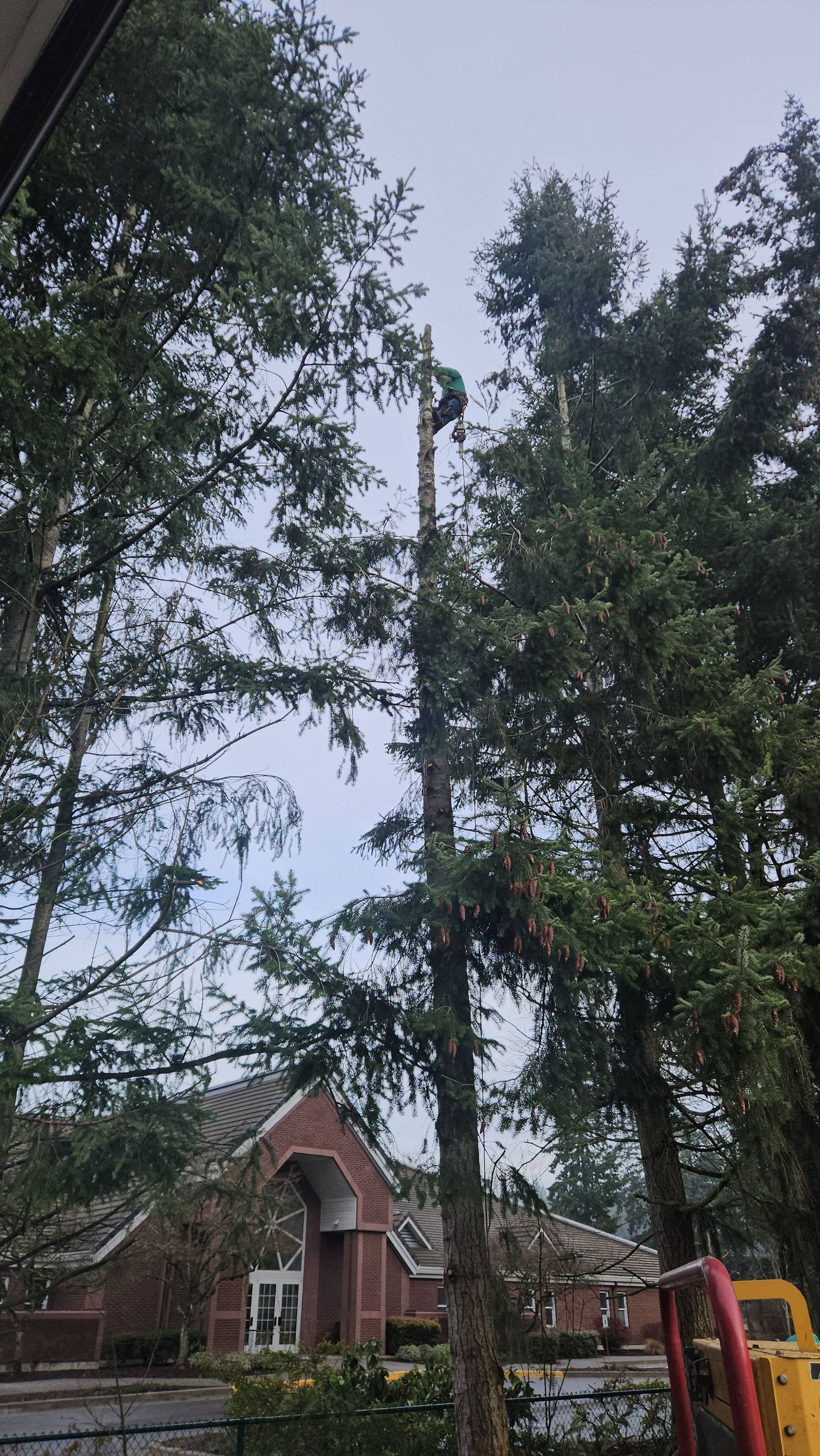 Tall trees and a brick house with a red roof in a wooded yard, with a yellow playground slide at right.