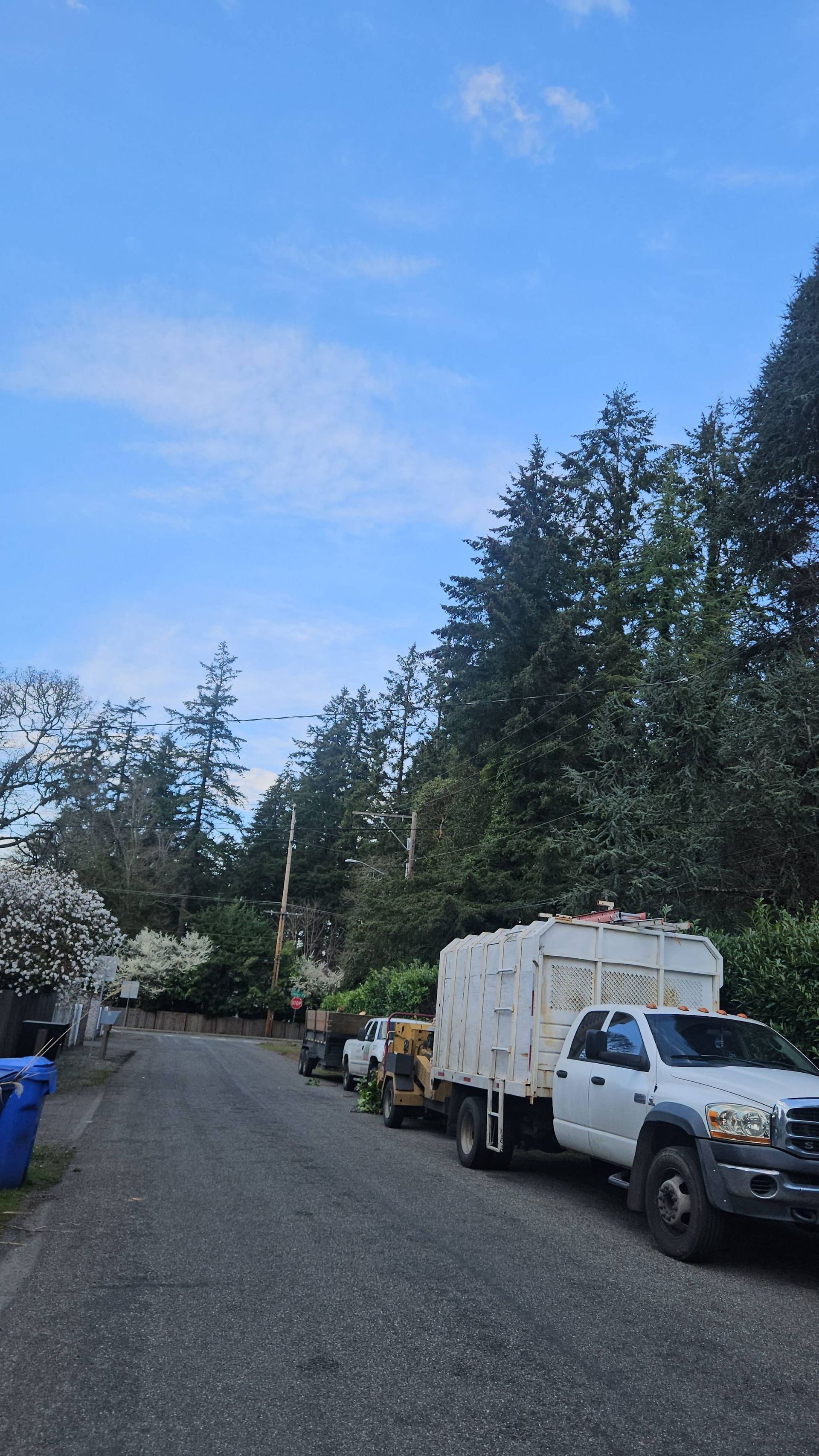 Gravel driveway with parked white truck and utility vehicles beneath tall trees under a blue sky