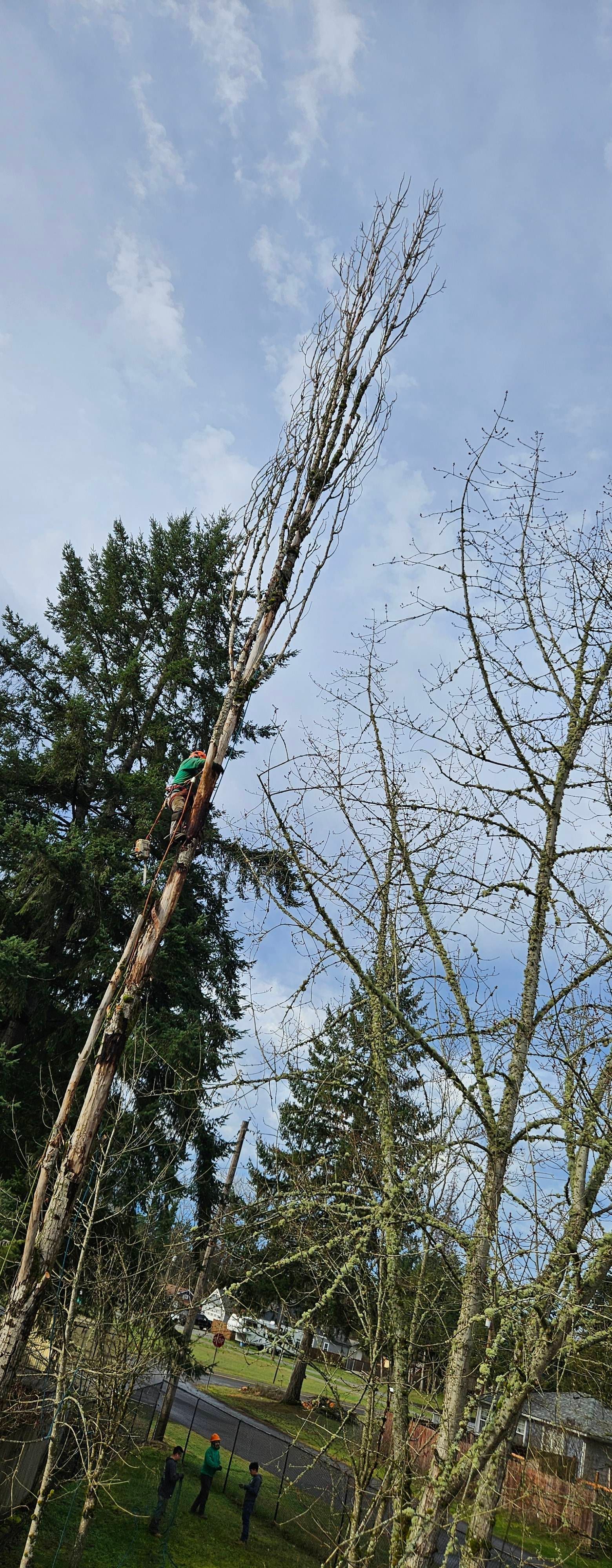 Tall metal structure rising above trees against a blue, cloudy sky