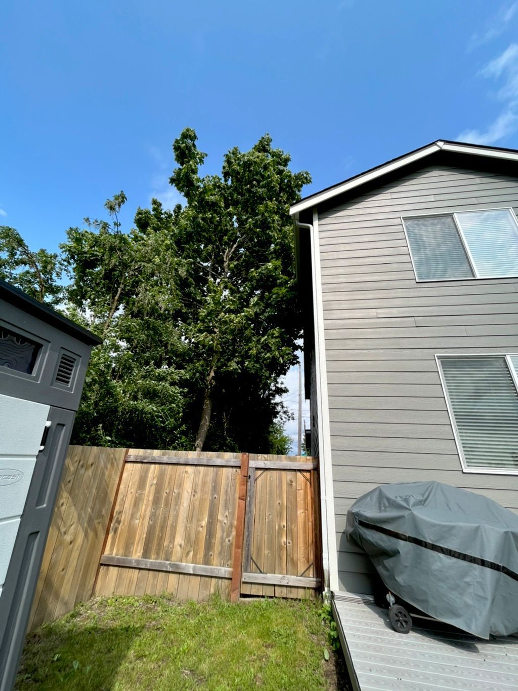Backyard view with a wooden fence, tall tree, and beige house under a blue sky.