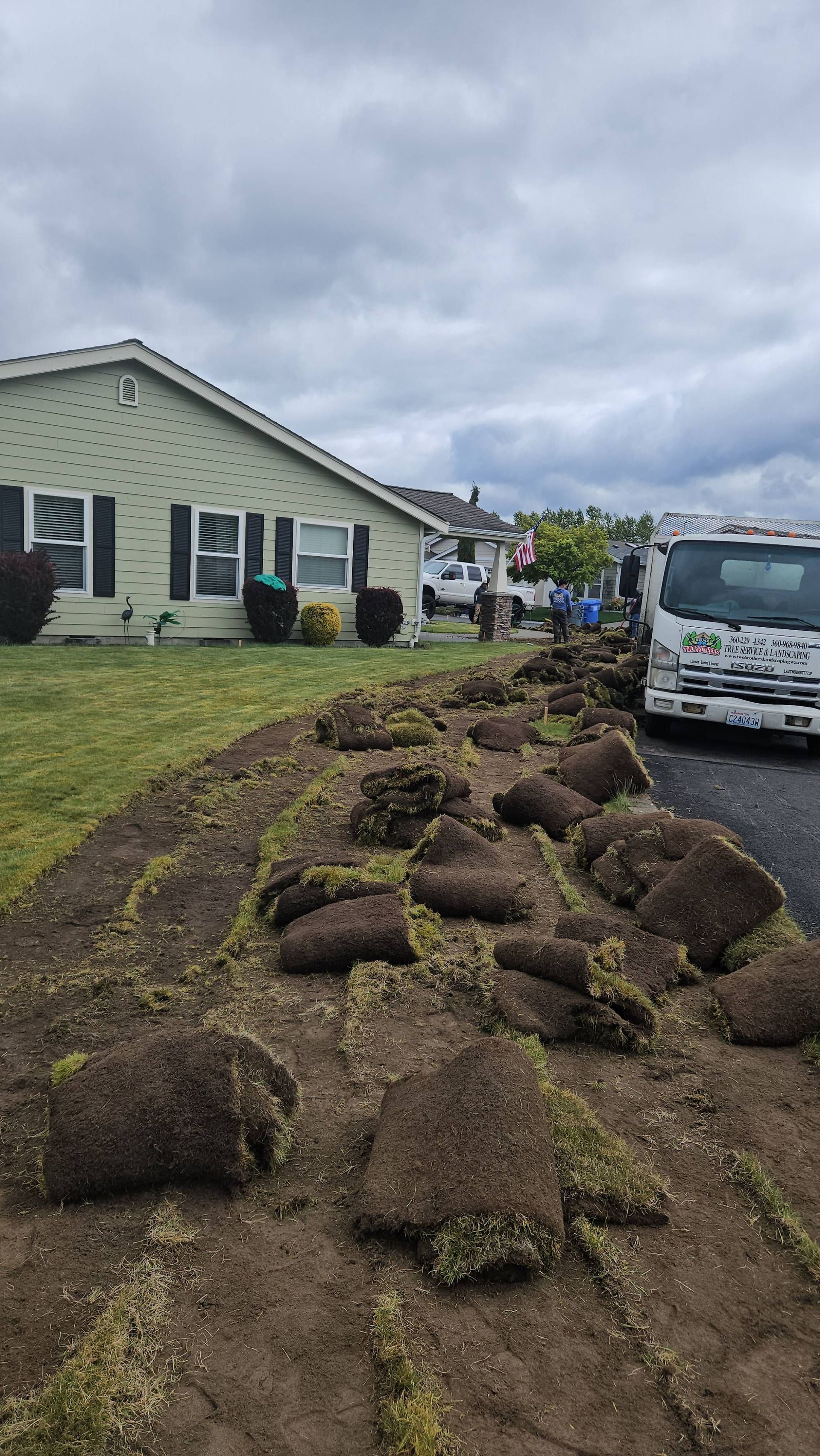 Rolls of sod laid along a muddy front yard beside a house and parked truck under cloudy skies