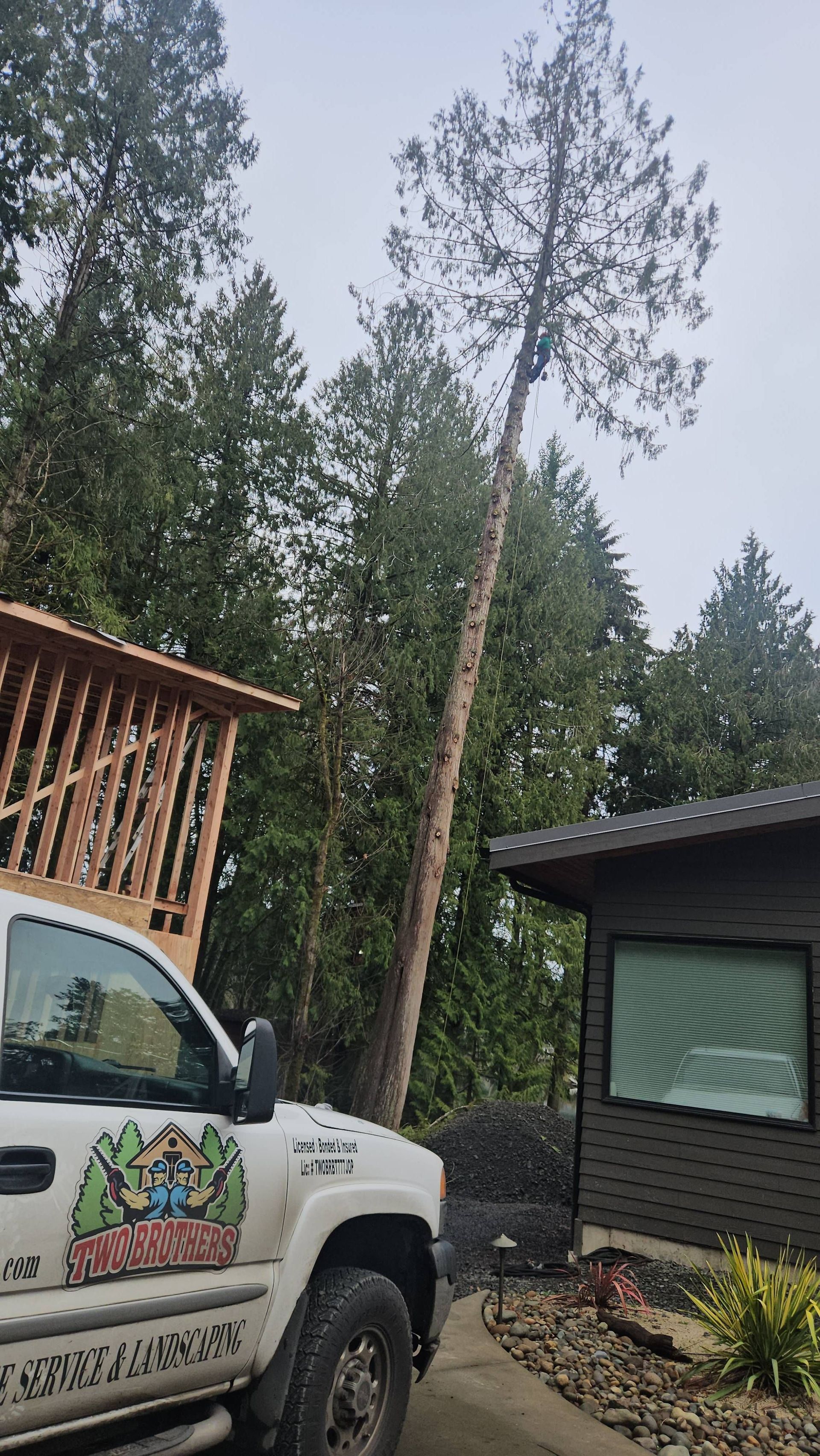 White pickup truck beside cabins and tall pine trees in a forested campground