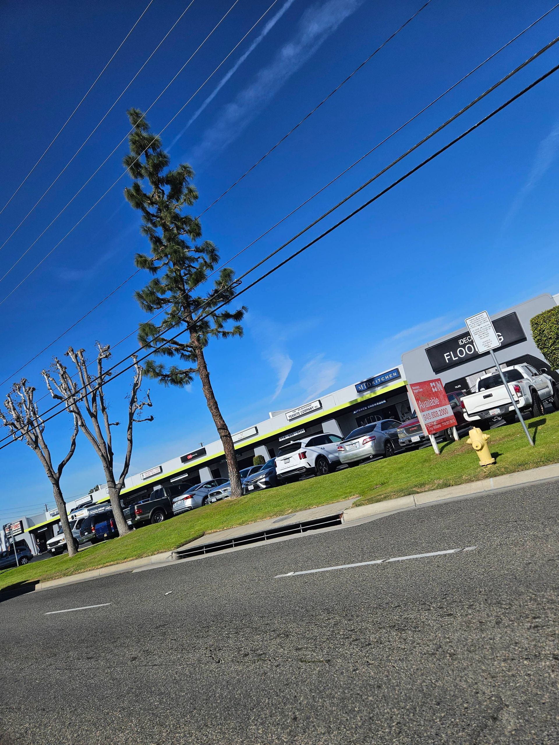 Blue-sky view of a parking lot with trees, storefronts, and power lines