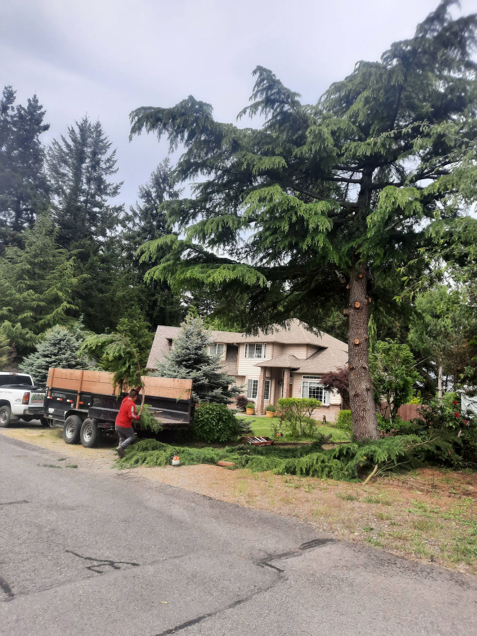 Tree-lined driveway with parked trucks and a house in the background