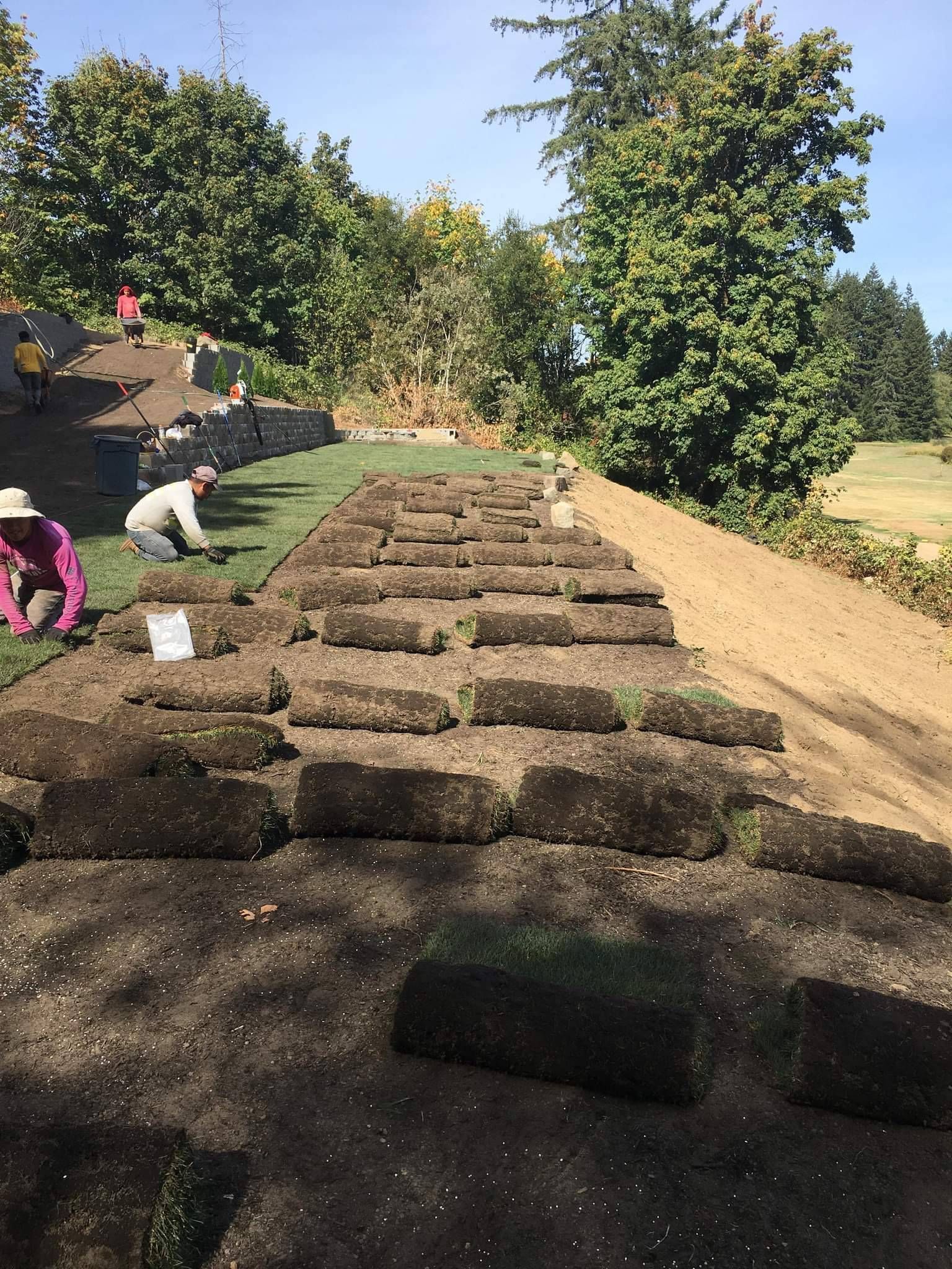 Workers laying sod on a sloped hillside beside a dirt path and trees