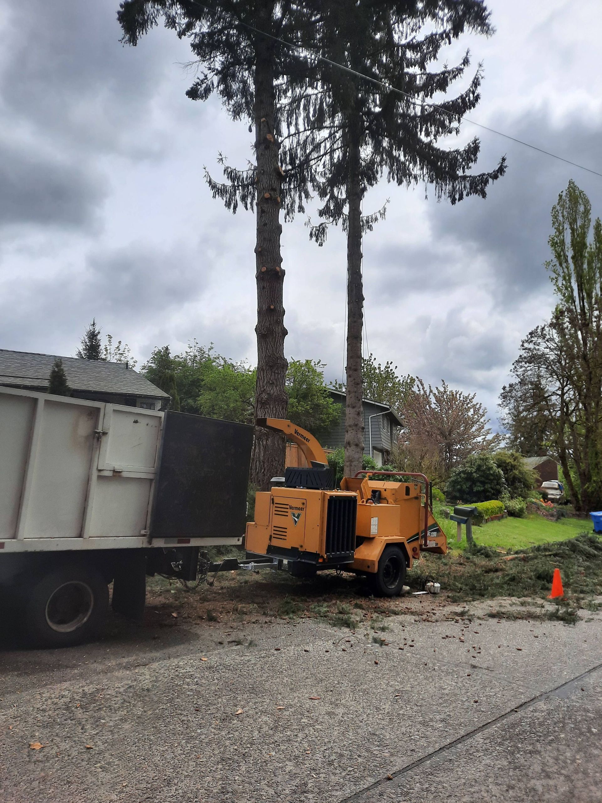 Orange stump grinder beside truck under tall trees on a gravel roadside, with wood debris nearby