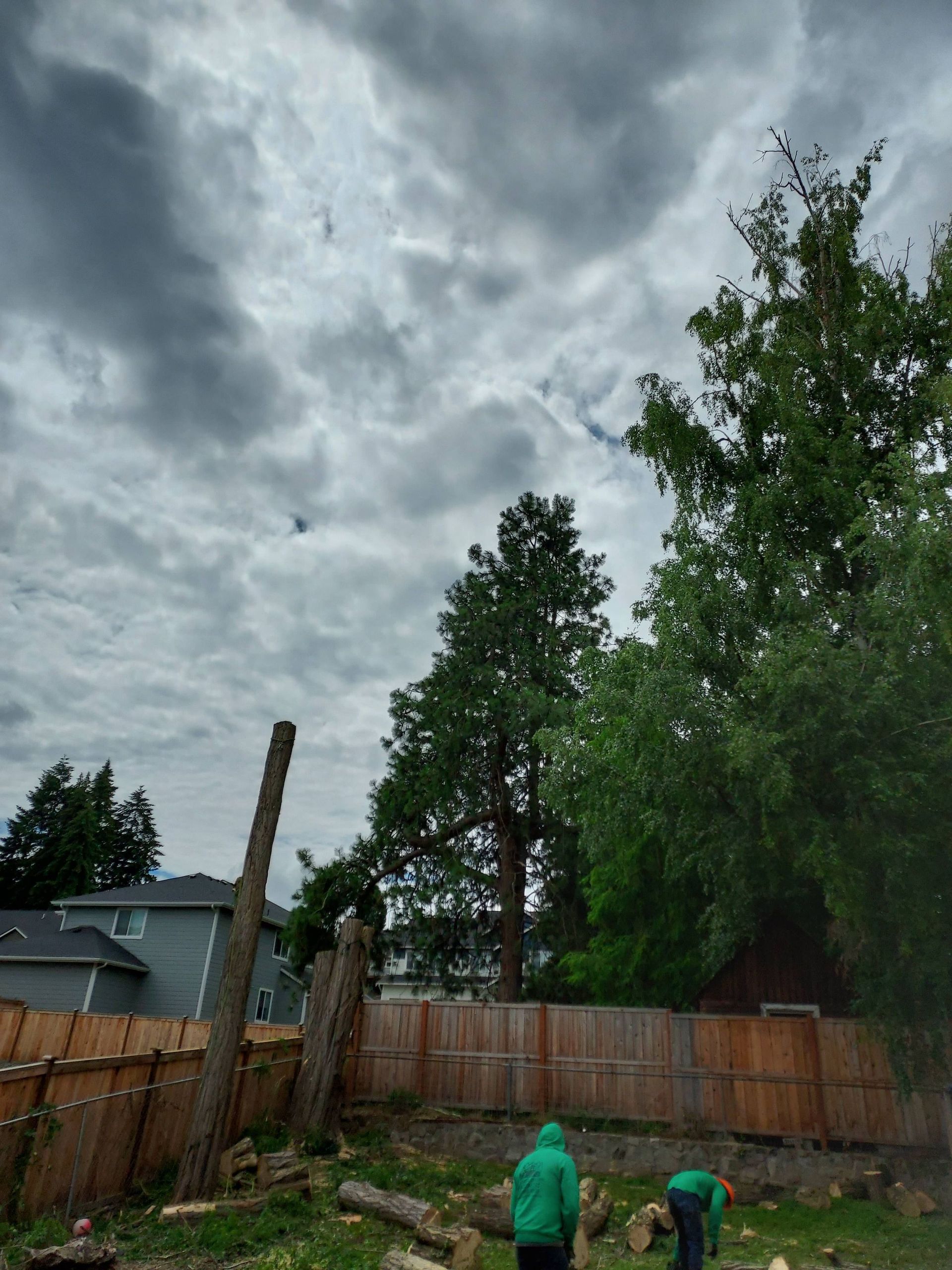 Backyard with two people in green shirts near a wooden fence under a cloudy sky