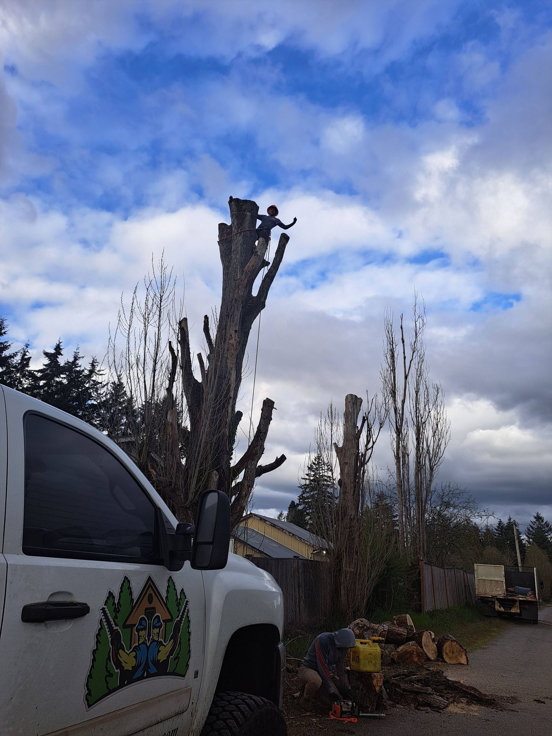 A white truck parked beside a trimmed tree under a cloudy sky with other bare trees and garden items nearby