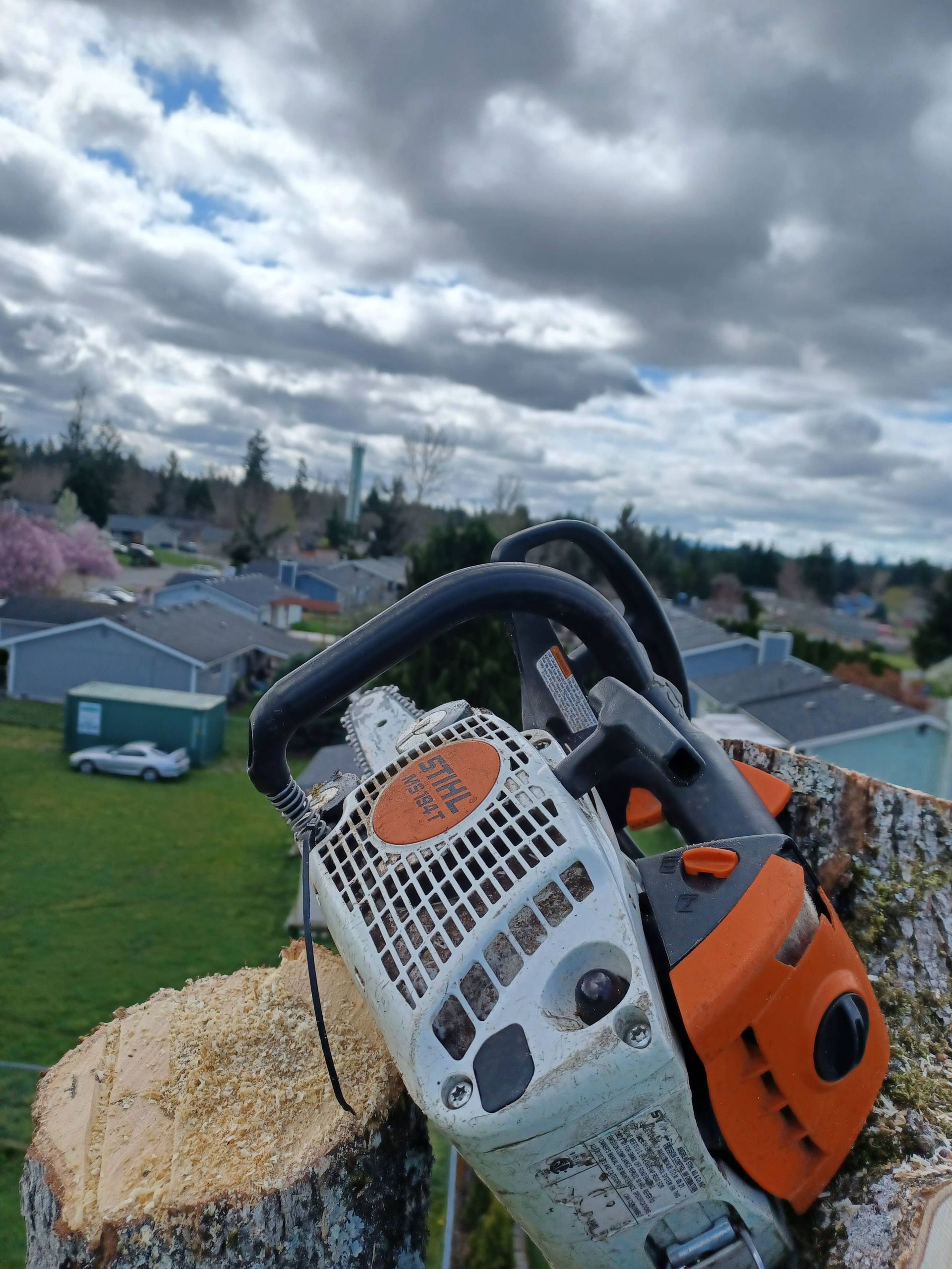 Orange-and-white chainsaw resting on a stump with sawdust, overlooking a suburban neighborhood under cloudy skies