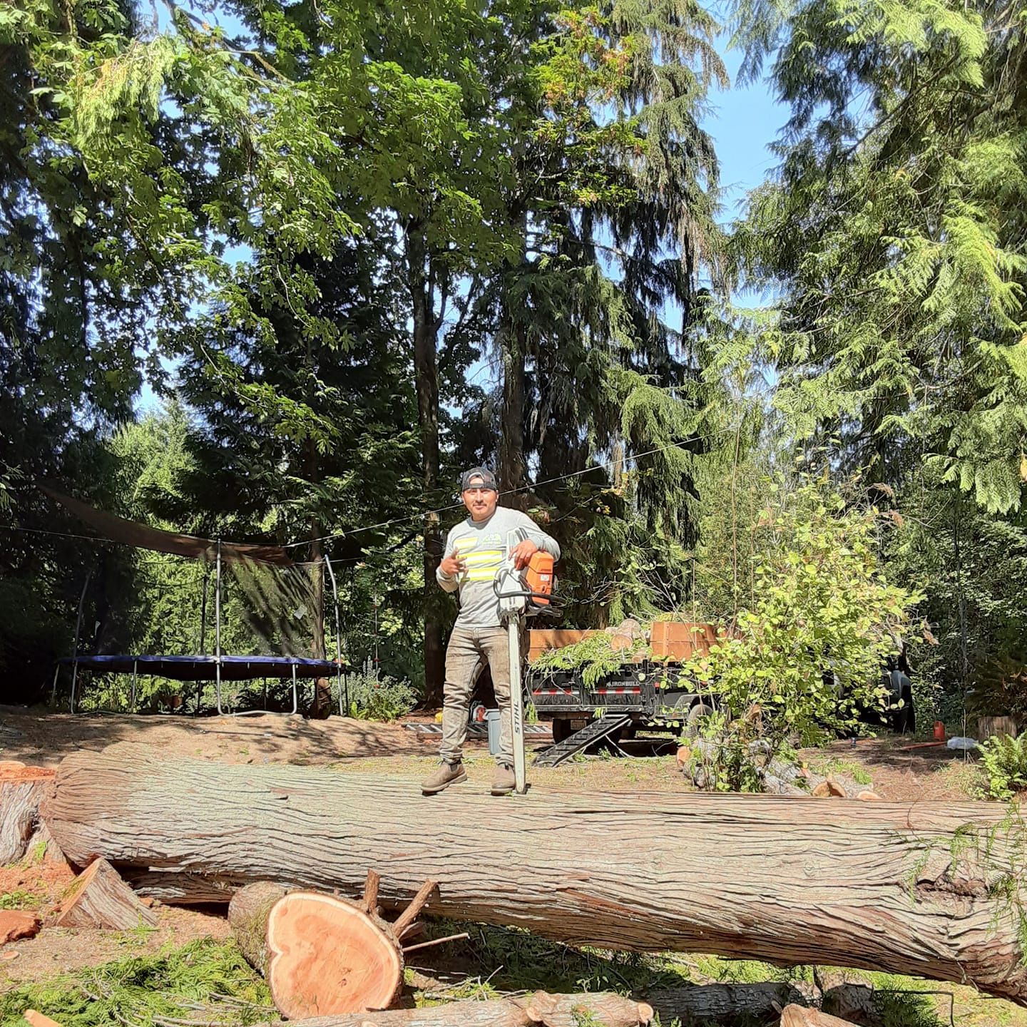 Worker standing on a large fallen tree trunk in a wooded area, holding a tool or chainsaw.