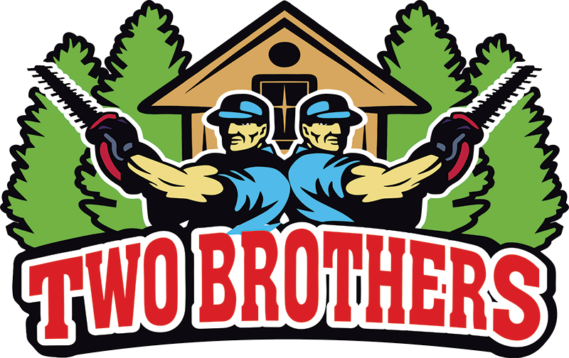 Two muscular men holding saws, in front of a cabin, with the text "TWO BROTHERS" underneath.