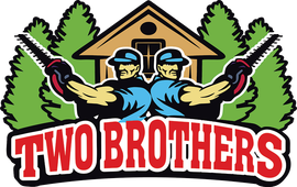 Two muscular men holding saws, in front of a cabin, with the text "TWO BROTHERS" underneath.
