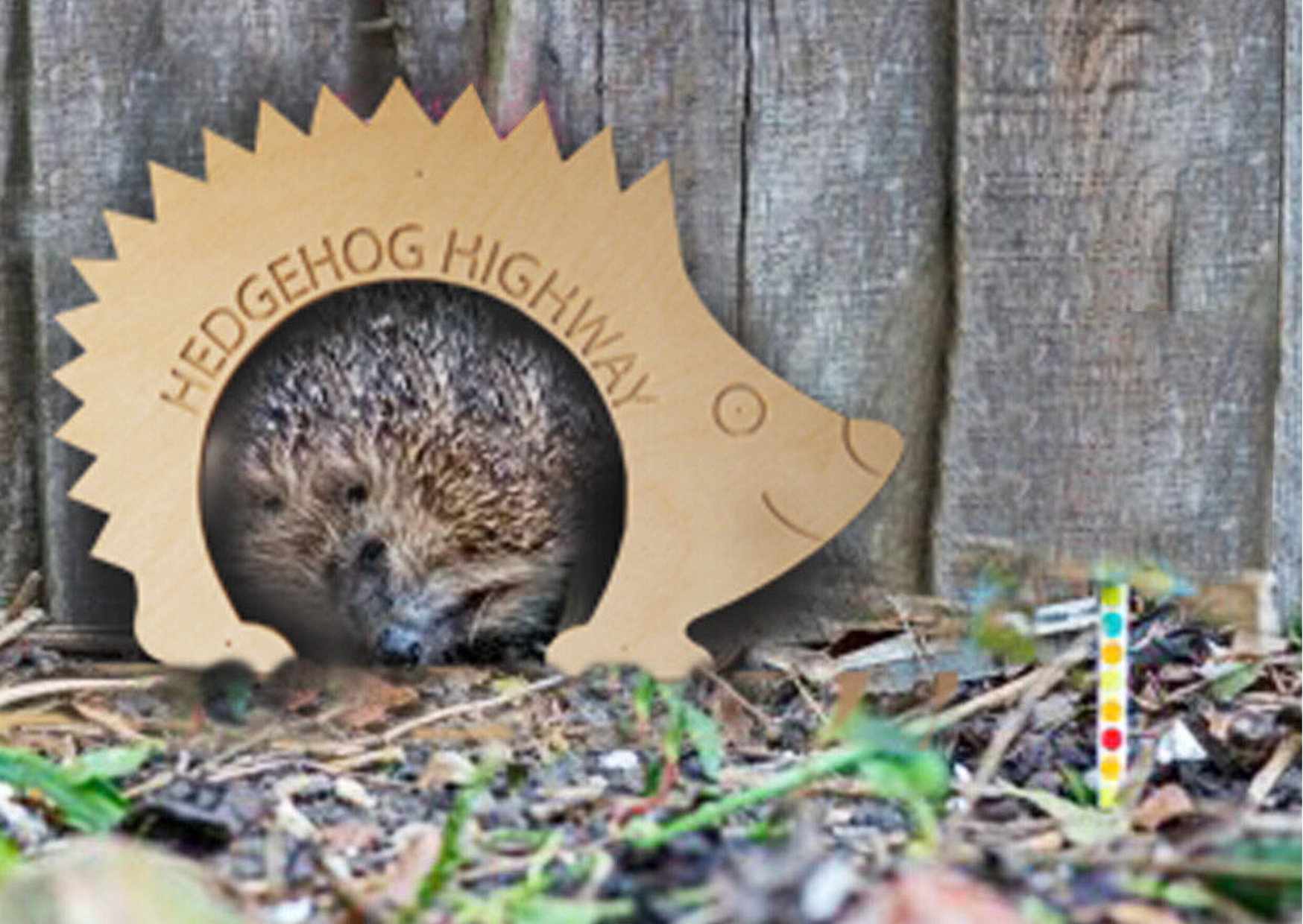 Hedgehog-friendly Fence Panels | Dundee Fence Experts