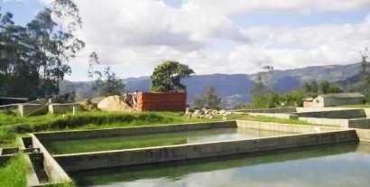 RC ARQUITECTOS S.A.S
