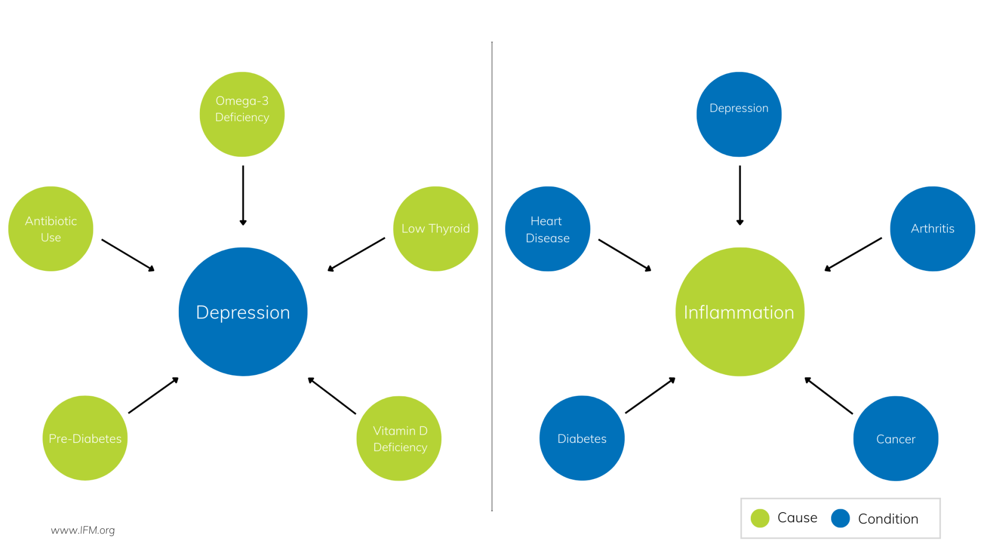 Functional medicine diagram showing one condition has many root causes – Dr. Lisa Gengo’s approach to treating depression, inflammation, and chronic disease Stamford CT