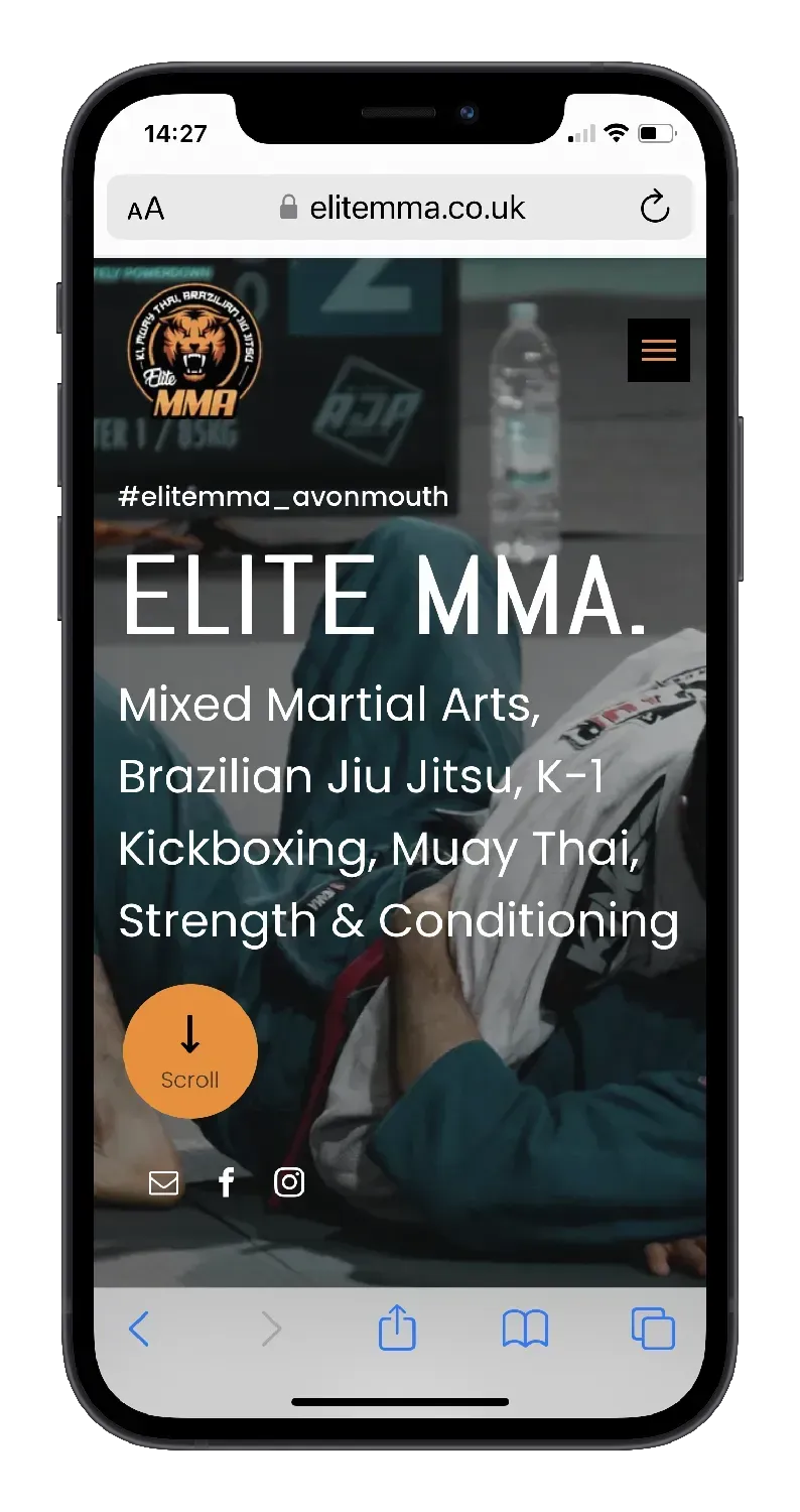Web Design Portfolio | MMA Gym Website Design