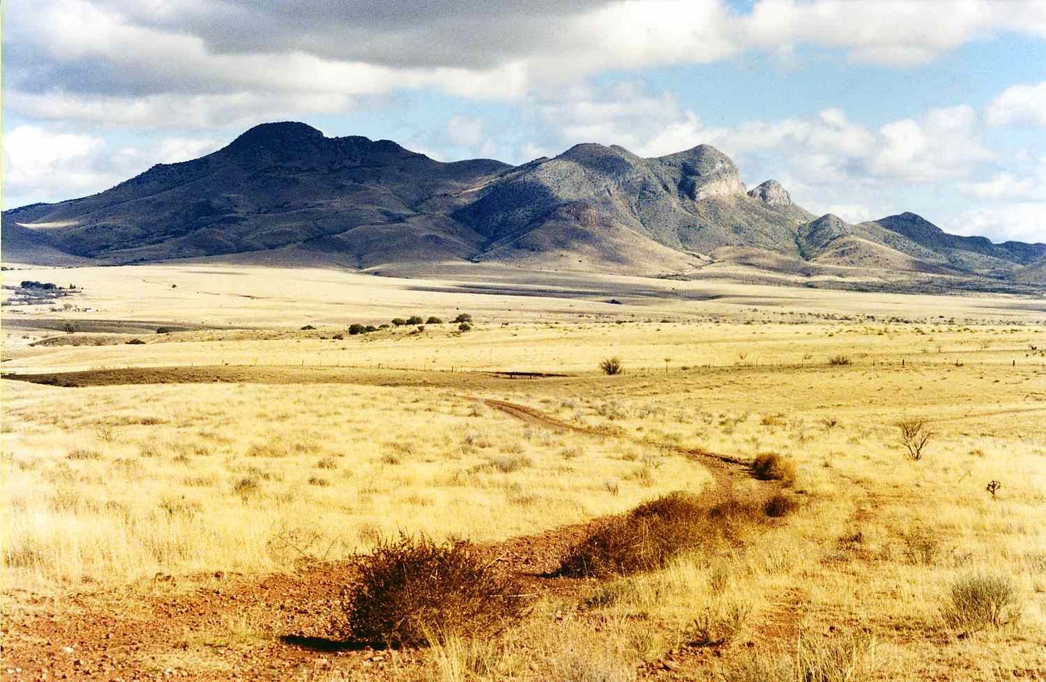 lochiel arizona golden field