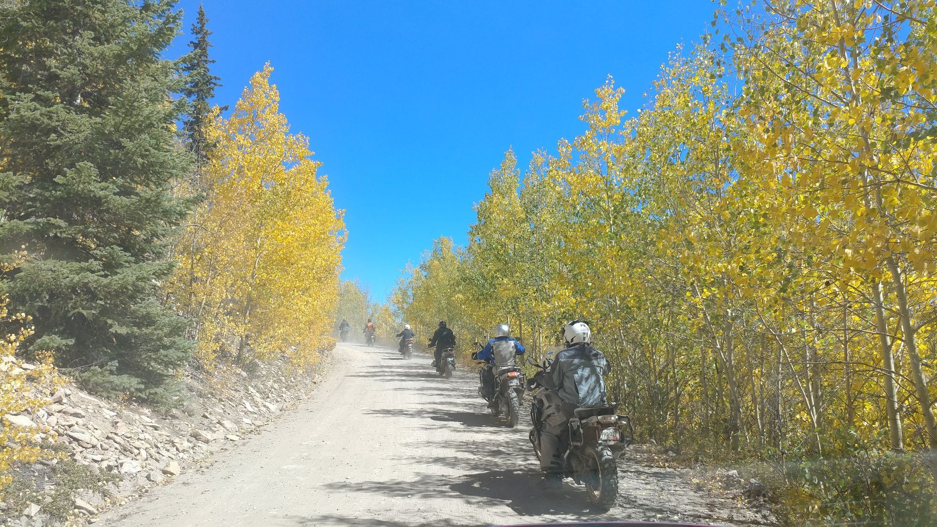 Dirt road through golden aspen trees, motorcycles in a line on a sunny day.
