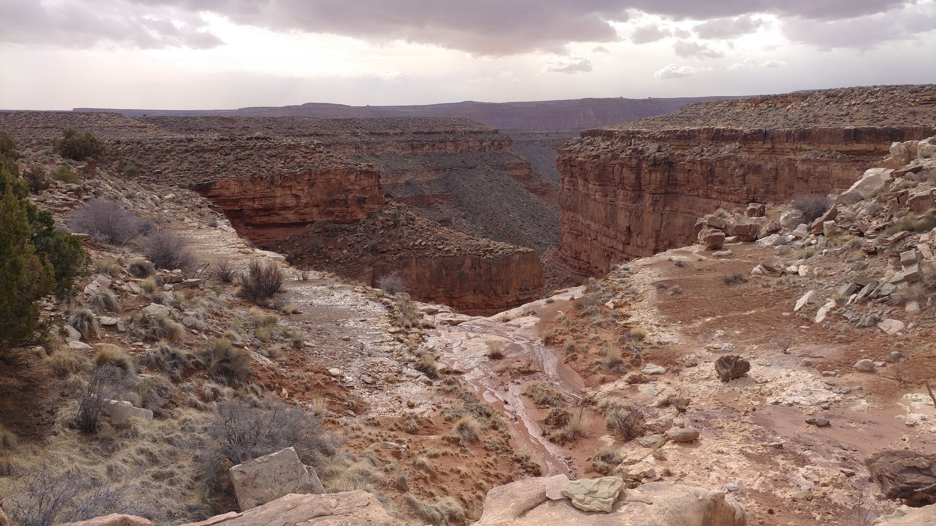 Canyon landscape with rocky terrain and a cloudy sky. The canyon walls are reddish-brown.