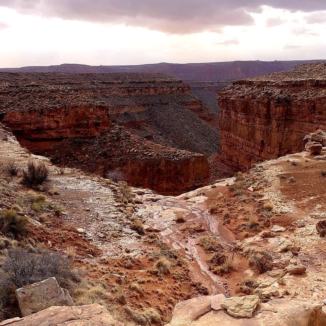 Canyon landscape with red rock formations and a cloudy sky.