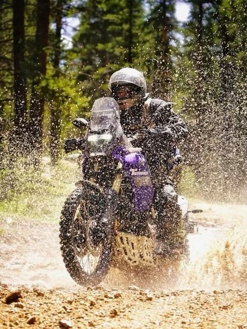 Motorcyclist on a purple adventure bike rides through a muddy puddle in a forest.