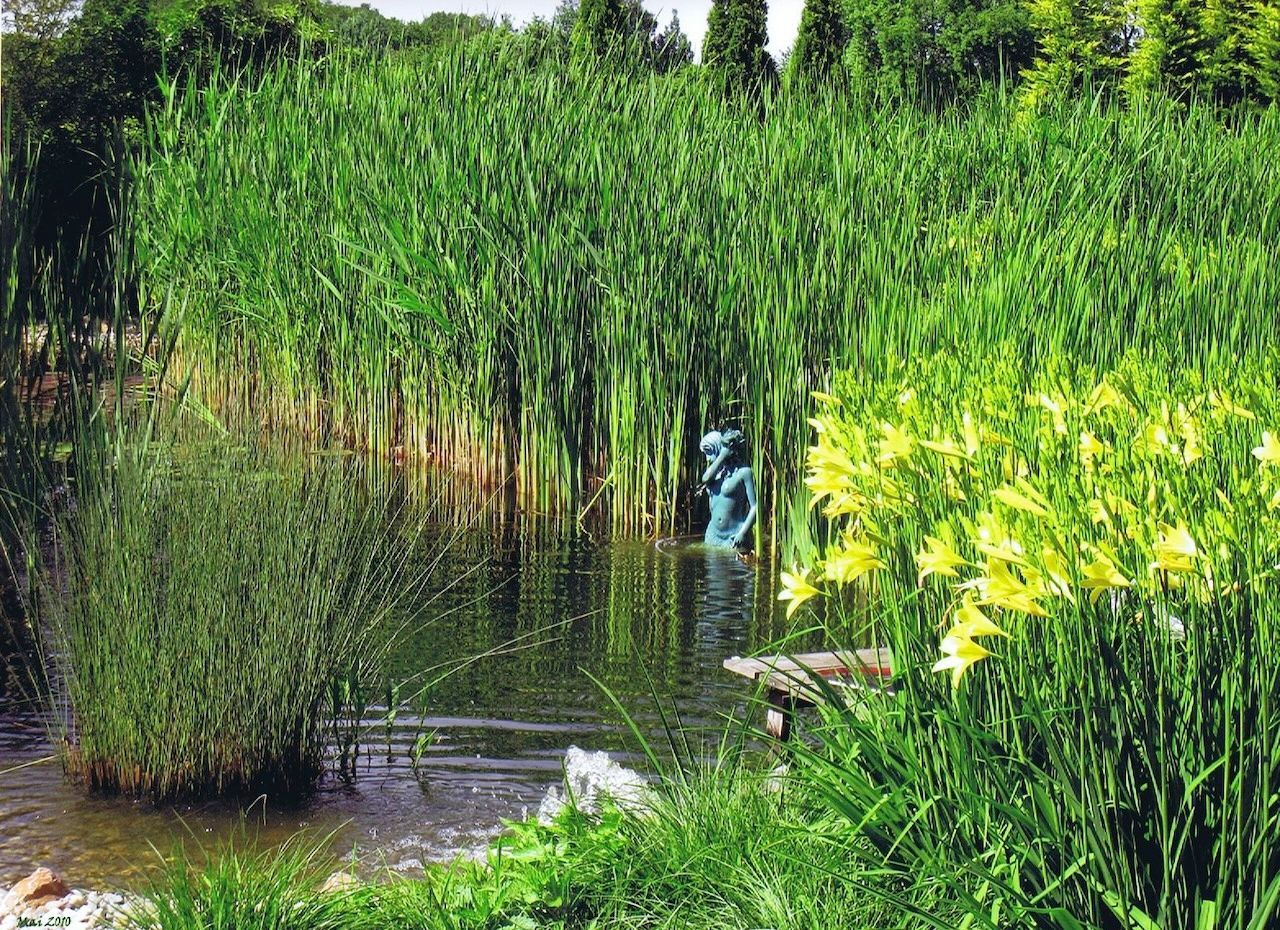 Gartenteichanlage mit badender 