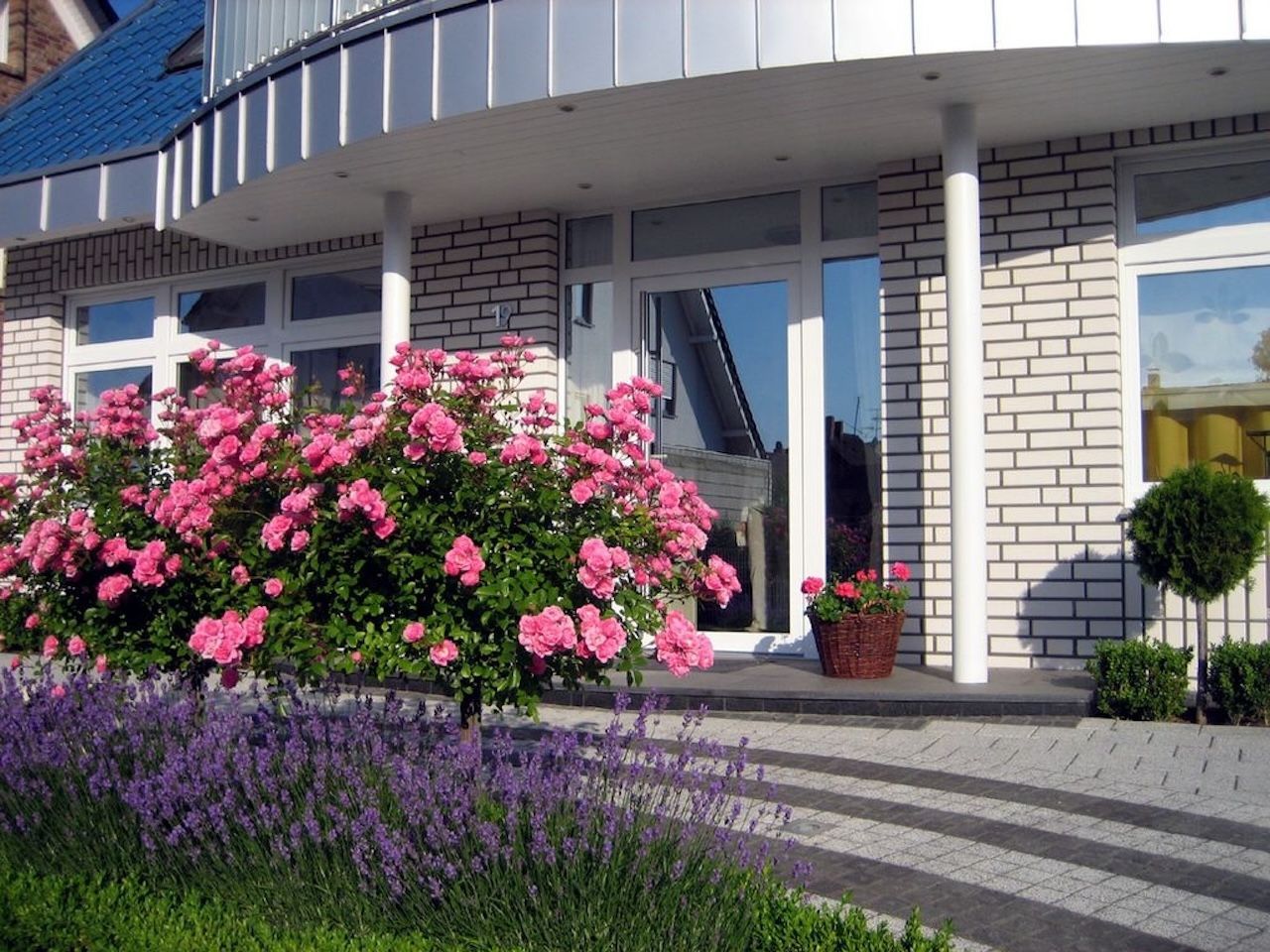 Vorgarten mit blühenden rosa Rosen und lila Lavendel vor einem weißen Backsteinhaus mit Glas-Eingangstür und Säulen.