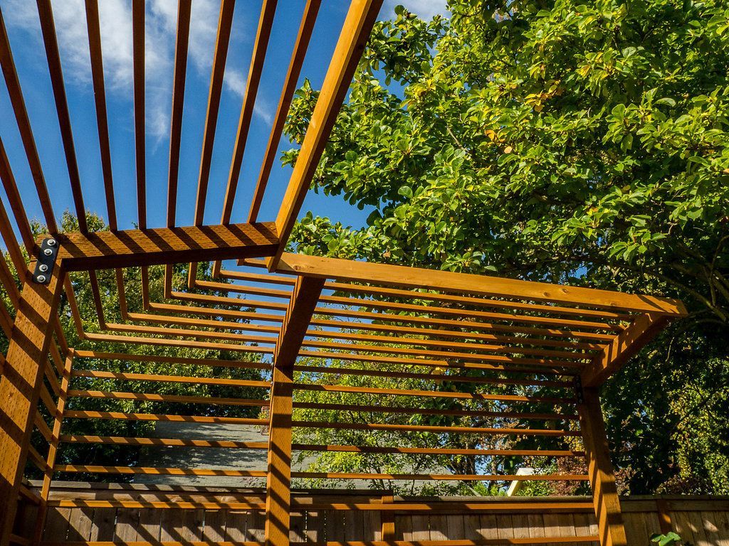 A wooden pergola with trees in the background and a blue sky in the background.