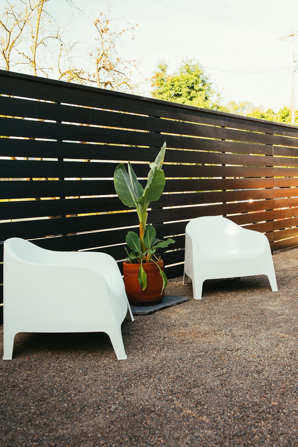 Two white chairs and a potted plant are sitting in front of a wooden fence.