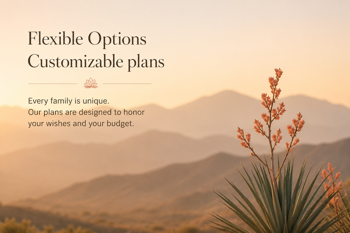 Pre-planning information
