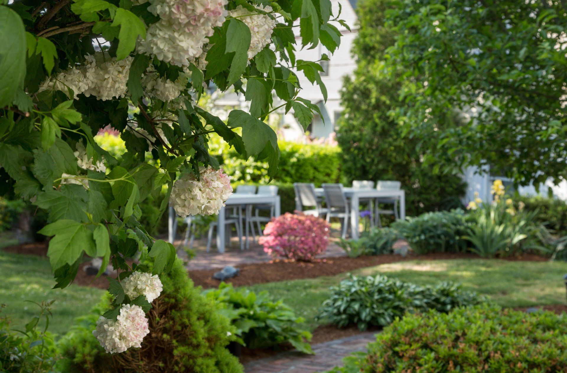 a garden with a white table and chairs under a tree with white flowers