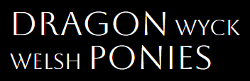 A dragon wyck welsh ponies logo on a black background