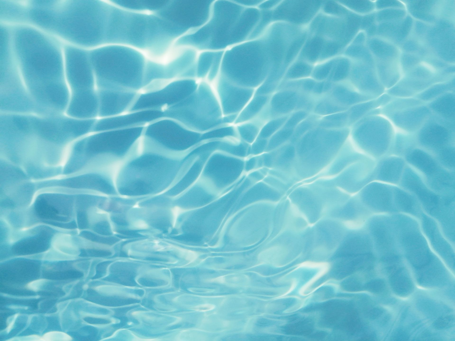 Clear, blue water surface with ripples and sunlight reflections.