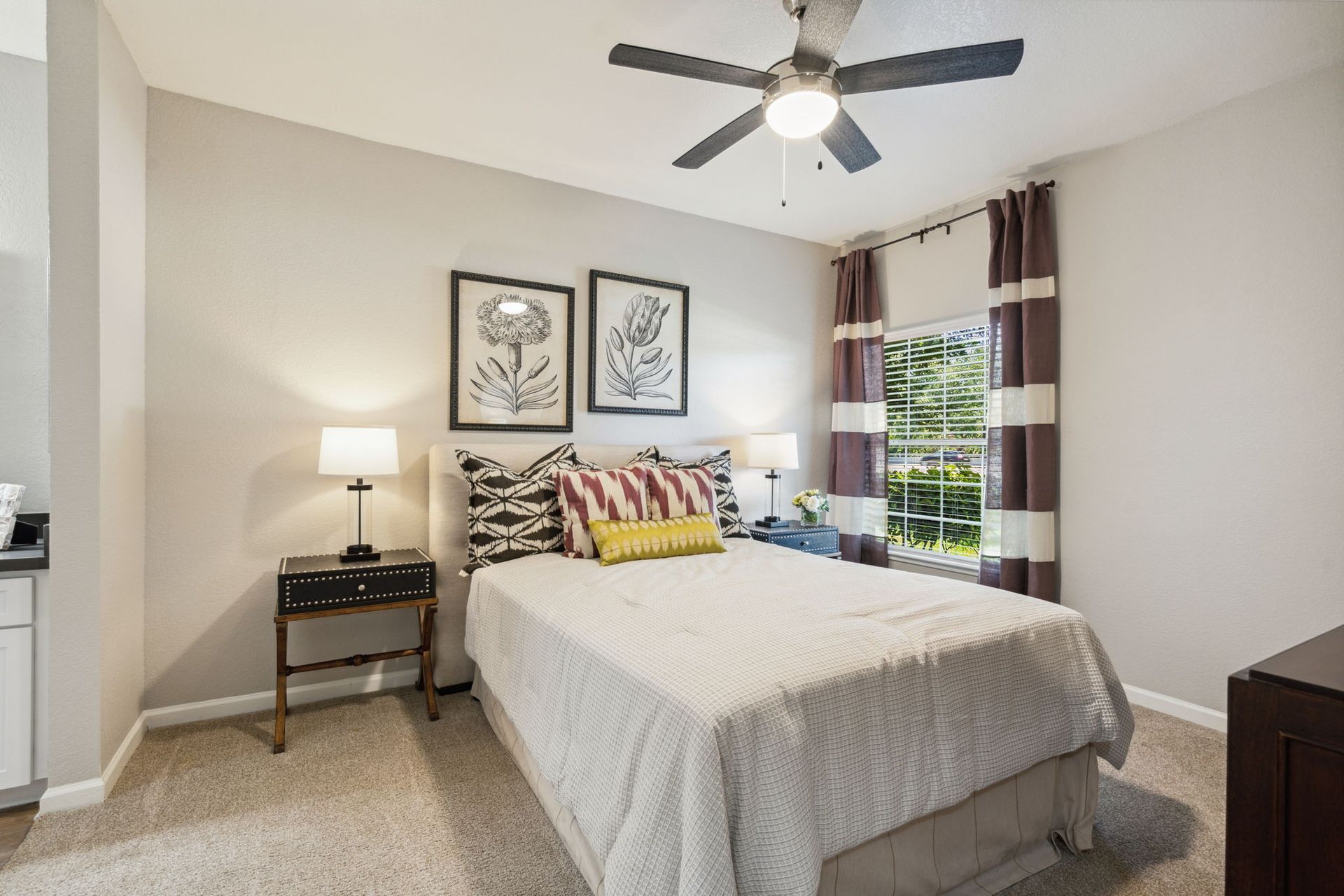 Beautifully Furnished, Renovated Bedroom