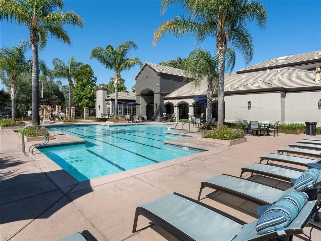 Outdoor community pool area with lounge chairs, palm trees, and surrounding buildings at River Oaks.