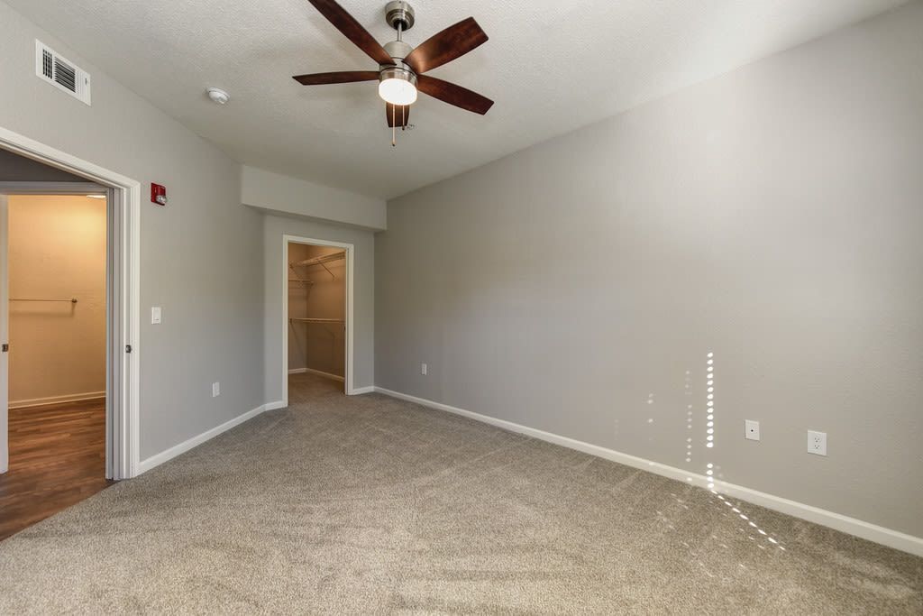 Empty bedroom with carpet, ceiling fan, closet, and grey walls at River Oaks.