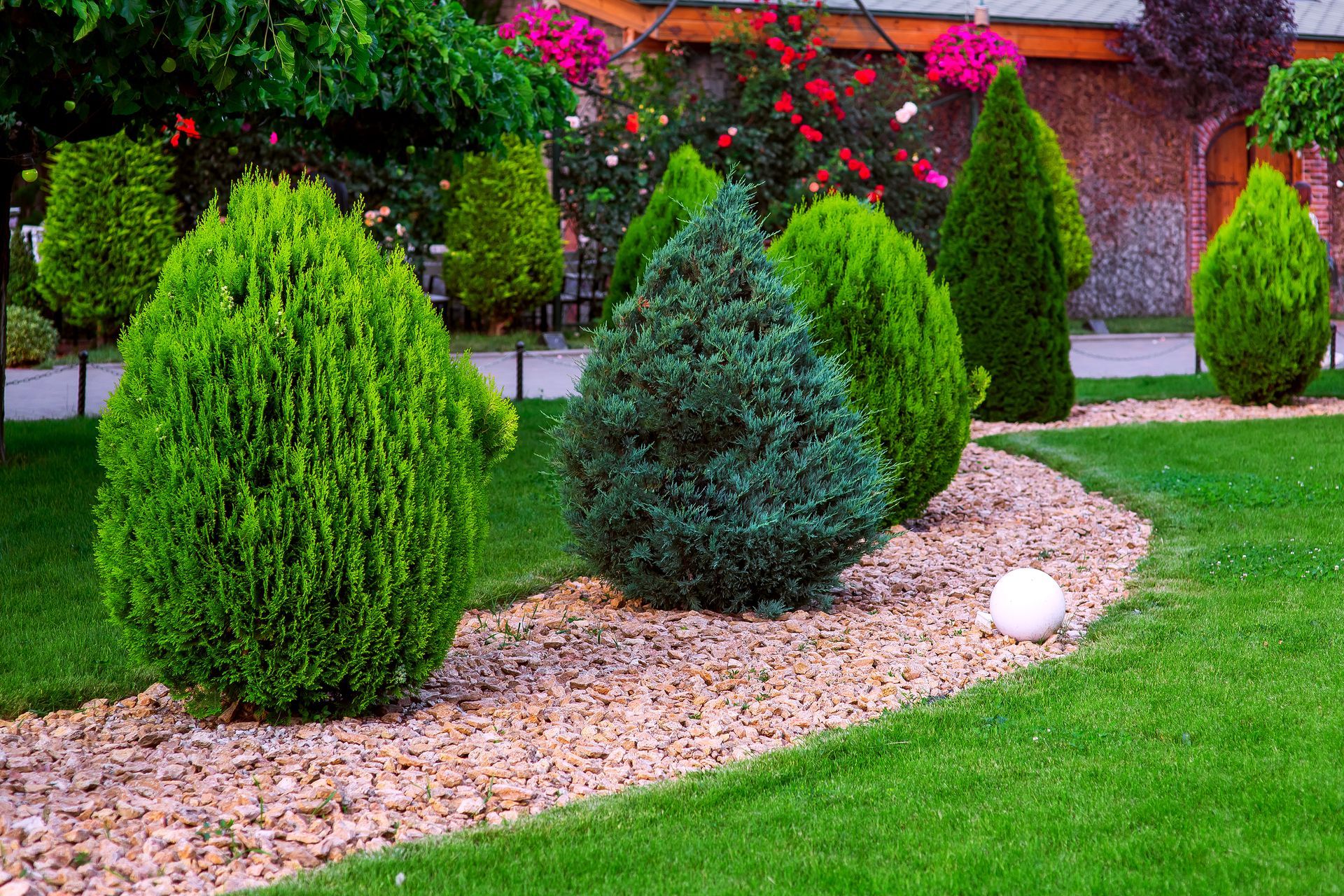 A curved garden bed with small, cone-shaped green and blue evergreen shrubs lined with light-colored stones on green grass.