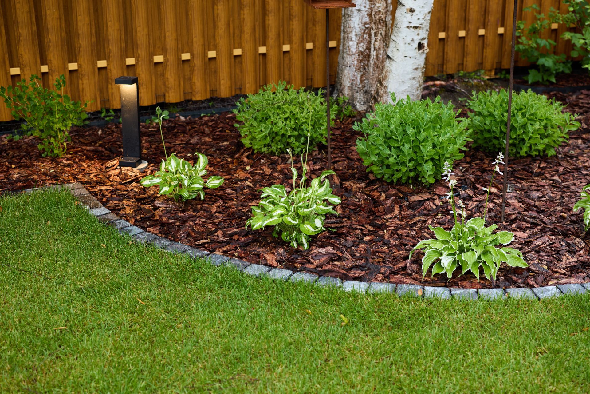 A landscaped garden bed with mulch, hostas, and small shrubs bordered by stones next to a green lawn and wooden fence.