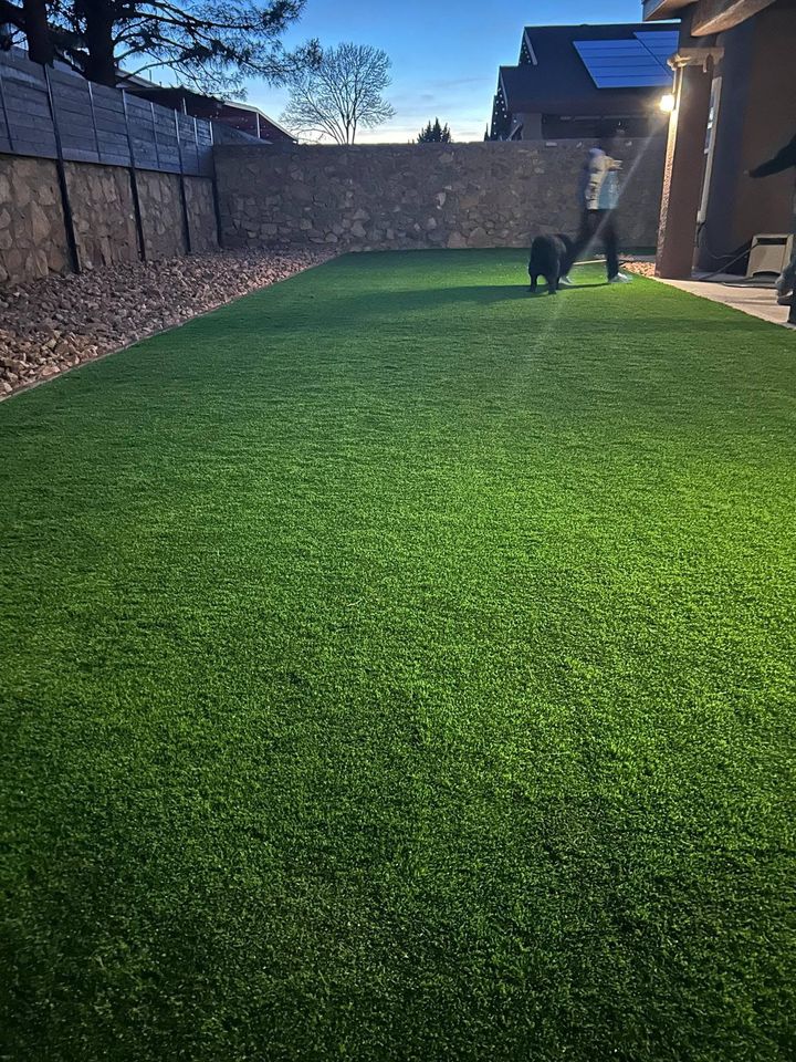 Backyard with bright green lawn, stone wall, and house patio in sunlight